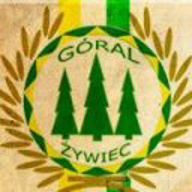 goralzywiec13