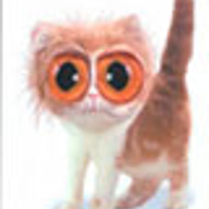 kitinhoo