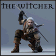 the_witcher