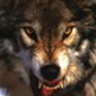 fenris