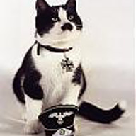 totenkopf