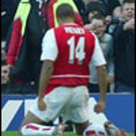 dutchman-robin