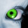 tamlin