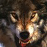 fenris