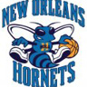 no-hornet