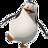 skipper