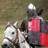 knight